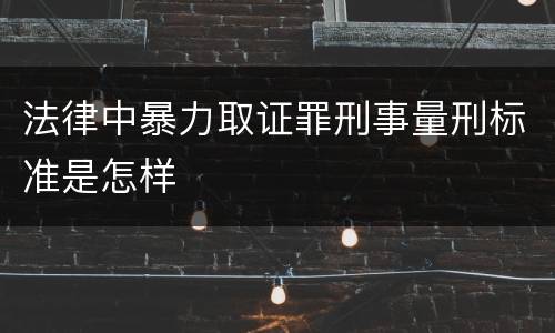 法律中暴力取证罪刑事量刑标准是怎样
