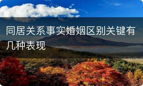 同居关系事实婚姻区别关键有几种表现
