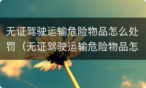 无证驾驶运输危险物品怎么处罚（无证驾驶运输危险物品怎么处罚规定）