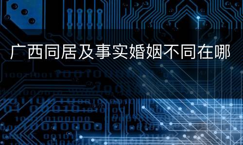 广西同居及事实婚姻不同在哪
