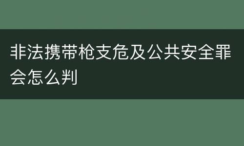 非法携带枪支危及公共安全罪会怎么判