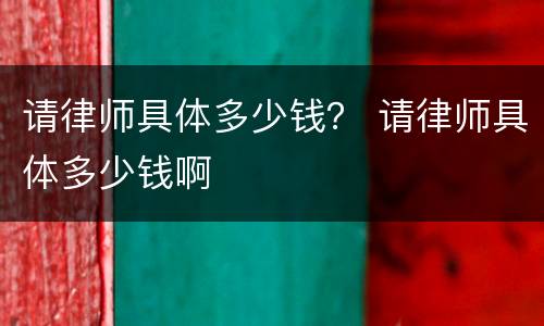 请律师具体多少钱？ 请律师具体多少钱啊