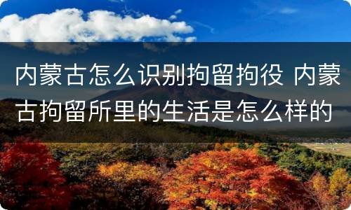 内蒙古怎么识别拘留拘役 内蒙古拘留所里的生活是怎么样的
