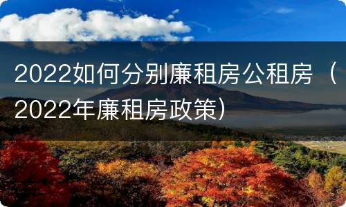 2022如何分别廉租房公租房（2022年廉租房政策）