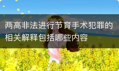 两高非法进行节育手术犯罪的相关解释包括哪些内容