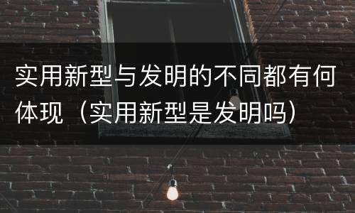 实用新型与发明的不同都有何体现（实用新型是发明吗）