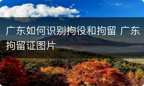 广东如何识别拘役和拘留 广东拘留证图片