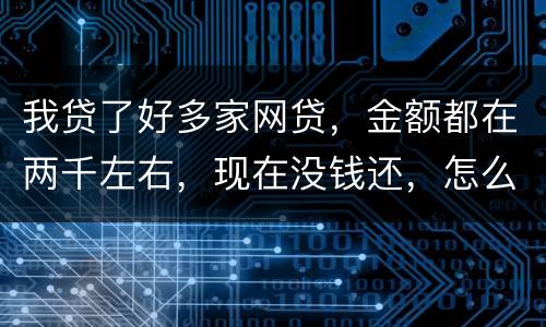 我贷了好多家网贷，金额都在两千左右，现在没钱还，怎么办呢