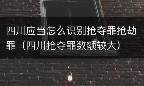 四川应当怎么识别抢夺罪抢劫罪（四川抢夺罪数额较大）