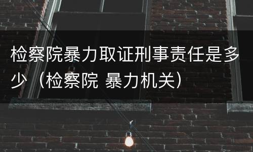检察院暴力取证刑事责任是多少（检察院 暴力机关）