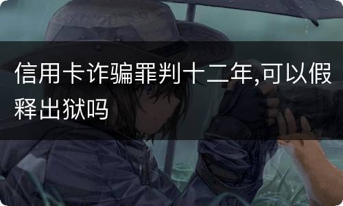 信用卡诈骗罪判十二年,可以假释出狱吗