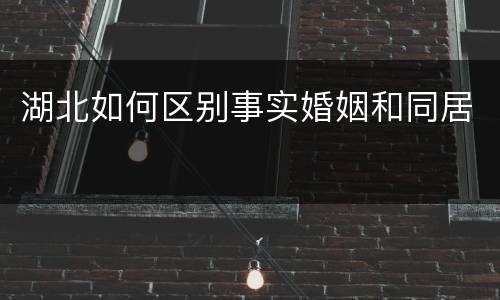 湖北如何区别事实婚姻和同居