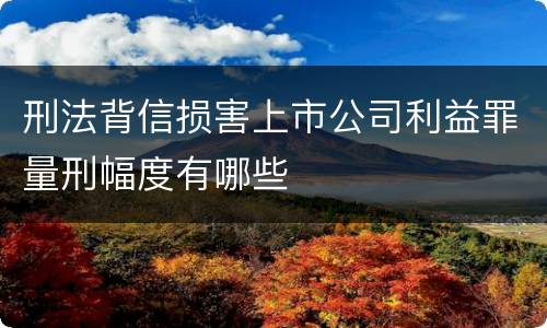 刑法背信损害上市公司利益罪量刑幅度有哪些