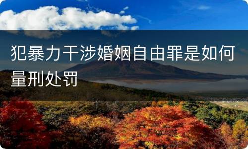 犯暴力干涉婚姻自由罪是如何量刑处罚