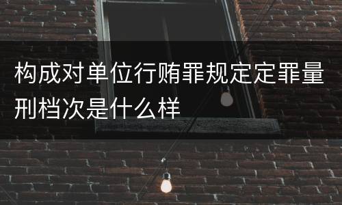 构成对单位行贿罪规定定罪量刑档次是什么样
