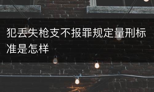 犯丢失枪支不报罪规定量刑标准是怎样
