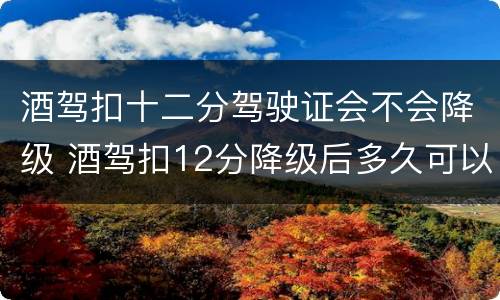 酒驾扣十二分驾驶证会不会降级 酒驾扣12分降级后多久可以再升级