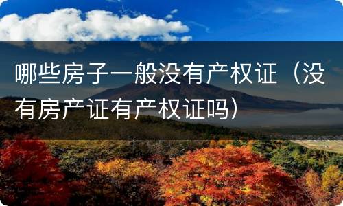 哪些房子一般没有产权证（没有房产证有产权证吗）