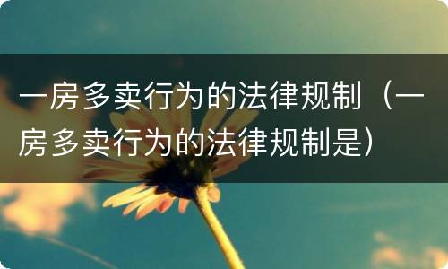 一房多卖行为的法律规制（一房多卖行为的法律规制是）