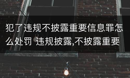 犯了违规不披露重要信息罪怎么处罚 违规披露,不披露重要信息罪量刑