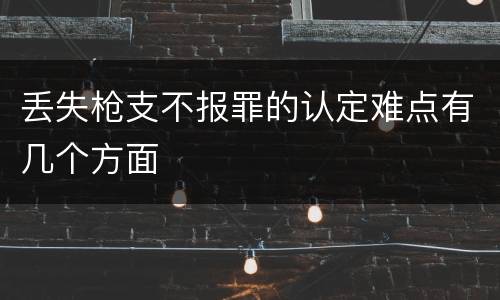 丢失枪支不报罪的认定难点有几个方面