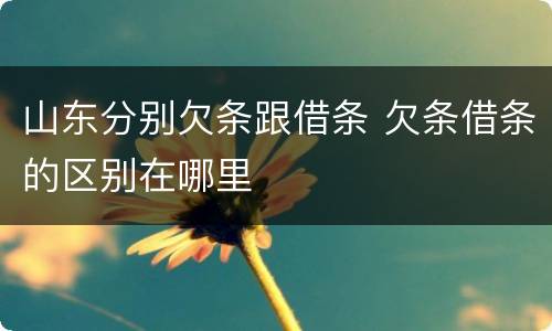 山东分别欠条跟借条 欠条借条的区别在哪里