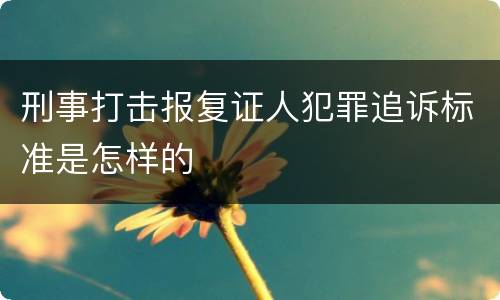 刑事打击报复证人犯罪追诉标准是怎样的