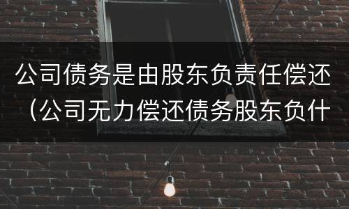 公司债务是由股东负责任偿还（公司无力偿还债务股东负什么责任）