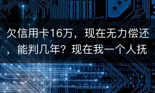 欠信用卡16万，现在无力偿还，能判几年？现在我一个人抚养孩子，判刑后孩子怎么办