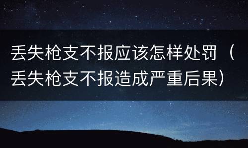 丢失枪支不报应该怎样处罚（丢失枪支不报造成严重后果）