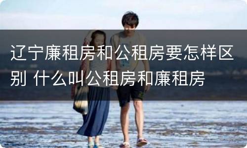 辽宁廉租房和公租房要怎样区别 什么叫公租房和廉租房