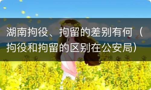 湖南拘役、拘留的差别有何（拘役和拘留的区别在公安局）