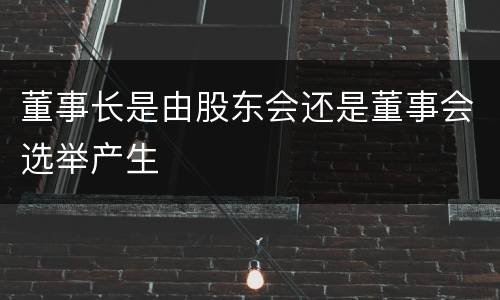 董事长是由股东会还是董事会选举产生