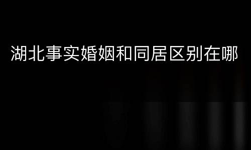 湖北事实婚姻和同居区别在哪