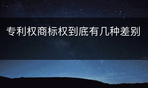 专利权商标权到底有几种差别