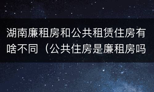 湖南廉租房和公共租赁住房有啥不同（公共住房是廉租房吗）