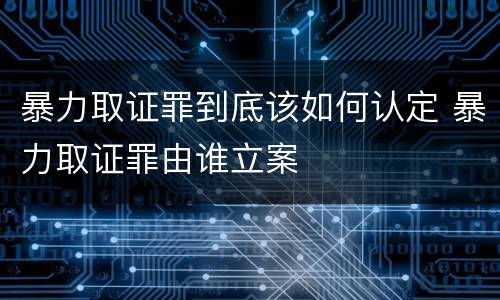 暴力取证罪到底该如何认定 暴力取证罪由谁立案