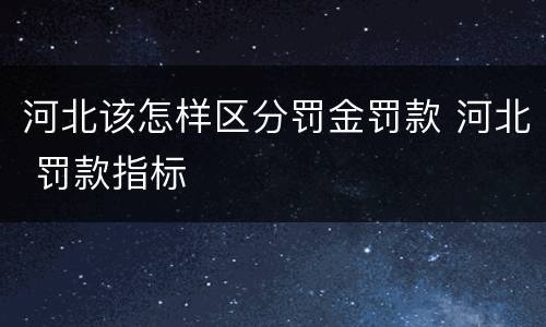 河北该怎样区分罚金罚款 河北 罚款指标