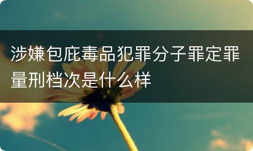 涉嫌包庇毒品犯罪分子罪定罪量刑档次是什么样