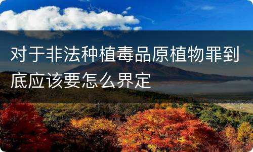 对于非法种植毒品原植物罪到底应该要怎么界定