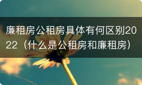廉租房公租房具体有何区别2022（什么是公租房和廉租房）