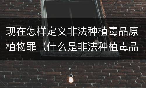 现在怎样定义非法种植毒品原植物罪（什么是非法种植毒品原植物罪）