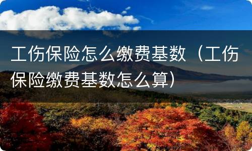 工伤保险怎么缴费基数（工伤保险缴费基数怎么算）