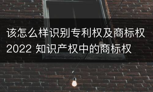 该怎么样识别专利权及商标权2022 知识产权中的商标权