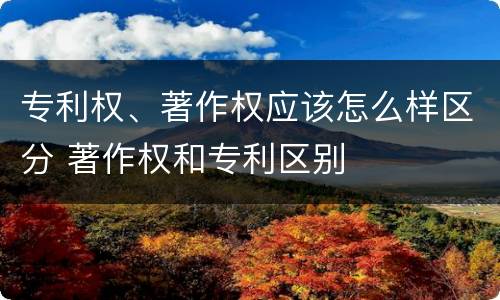 专利权、著作权应该怎么样区分 著作权和专利区别