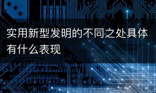实用新型发明的不同之处具体有什么表现