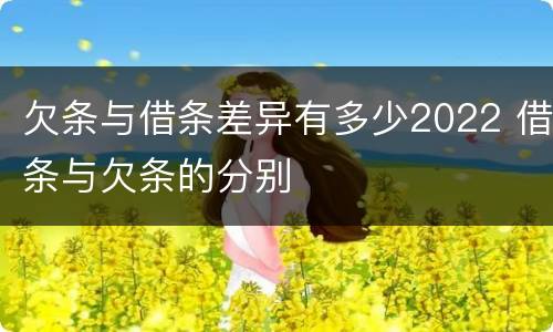 欠条与借条差异有多少2022 借条与欠条的分别