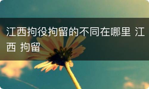 江西拘役拘留的不同在哪里 江西 拘留