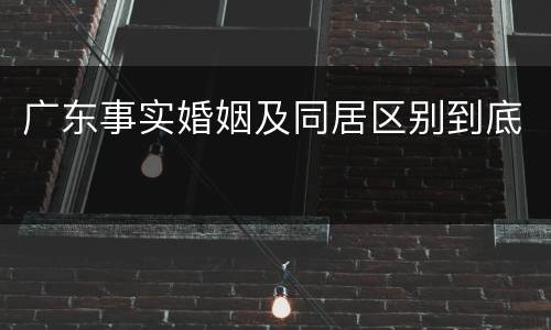 广东事实婚姻及同居区别到底