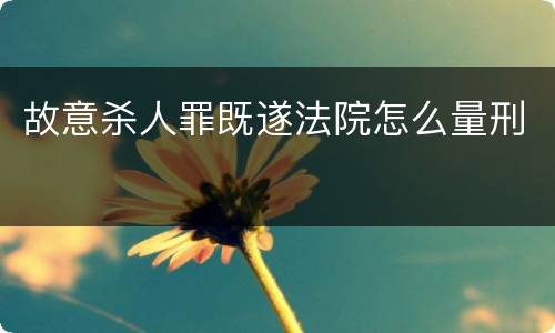 故意杀人罪既遂法院怎么量刑